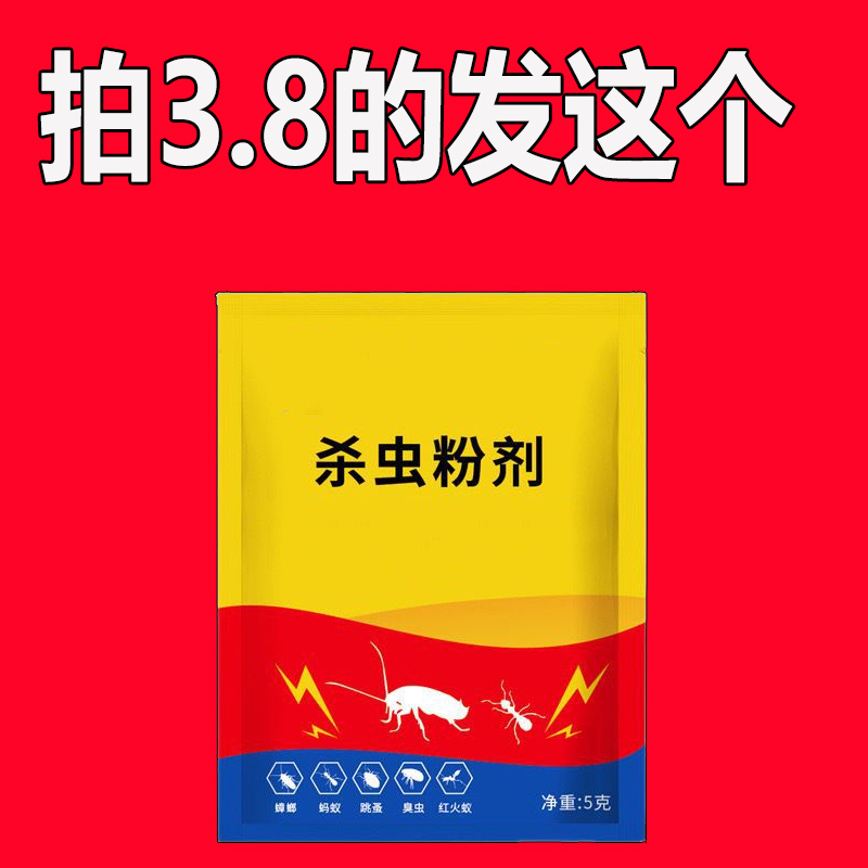 冲击传奇巅峰，携手兄弟夺取荣耀与财富